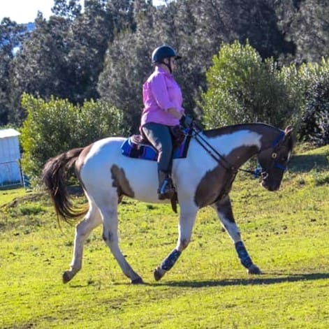 Customer photo review of Equine Joint Plus™️ 4kg