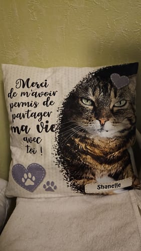 Customer photo review of Merci - Coussin personnalisé