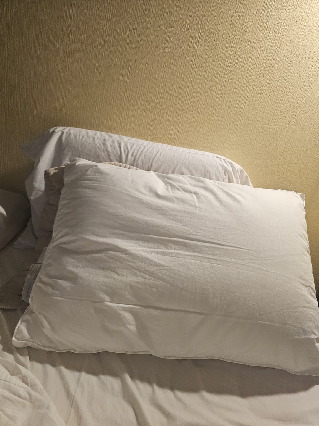 Customer photo review of Almohadas de seda natural