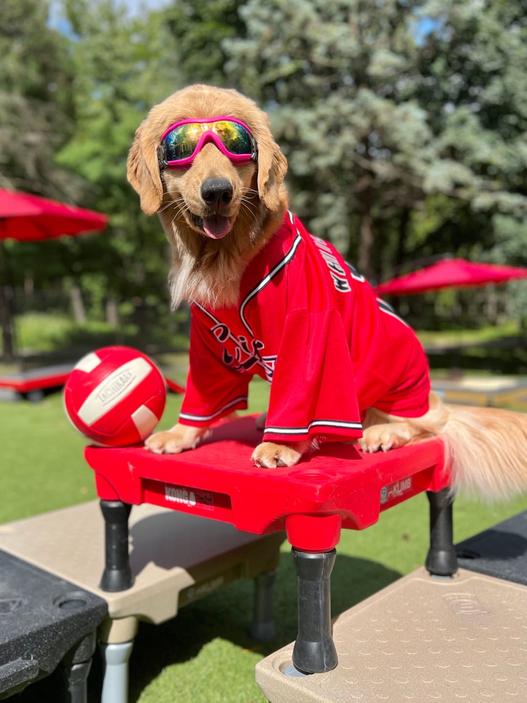 Customer photo review of Custom Red Black-White Solider Classic Style Authentic Baseball Jersey