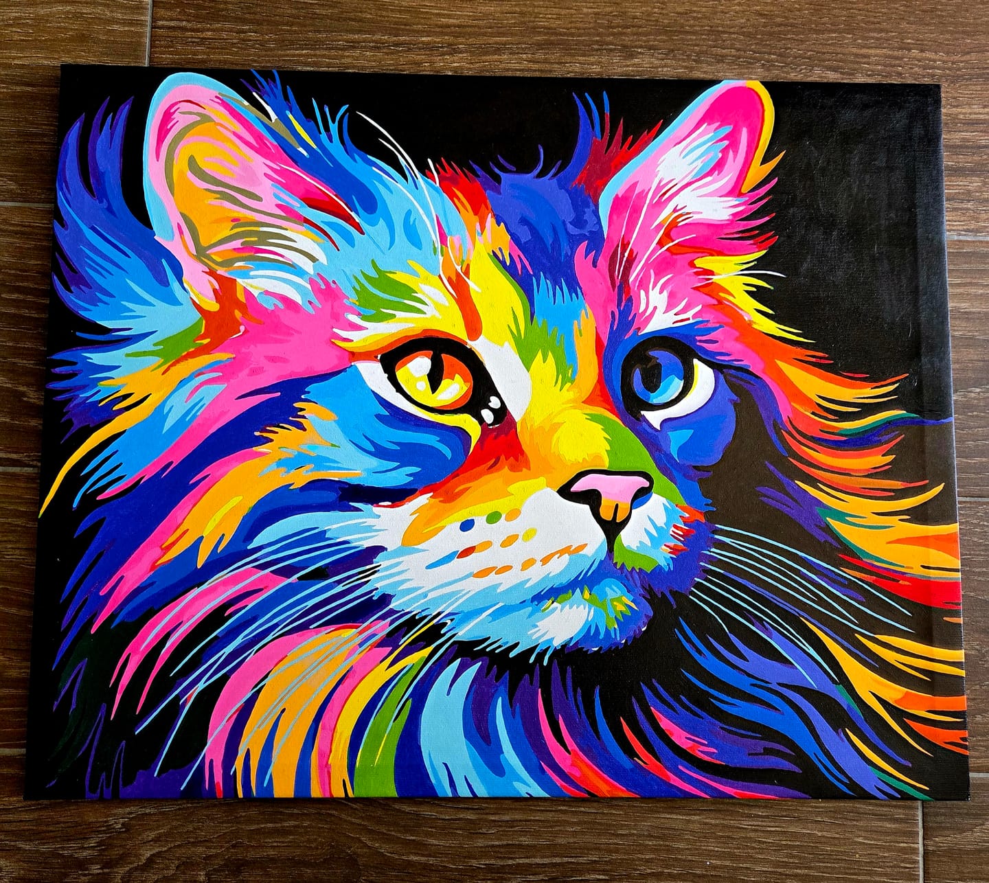 Customer photo review of Colorful Cat