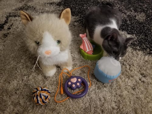 TUMAMA Interaktive Katze Plüsch Spielzeugkatze mit Futter-Set