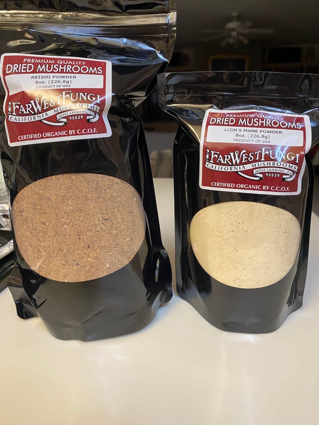 Customer photo review of CCOF Organic Lion's Mane Powder