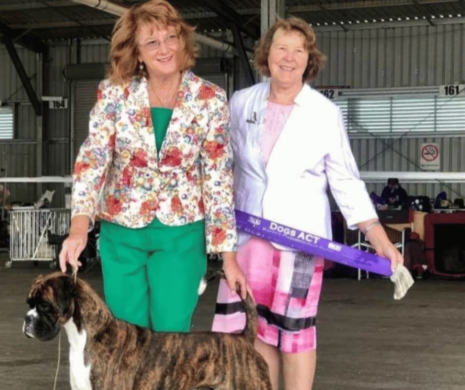 Customer photo review of Canine Joint Plus™️ 250g