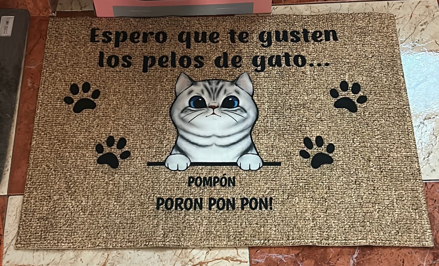 Customer photo review of Bienvenidos a lo de gatos curiosos - Felpudo personalizado