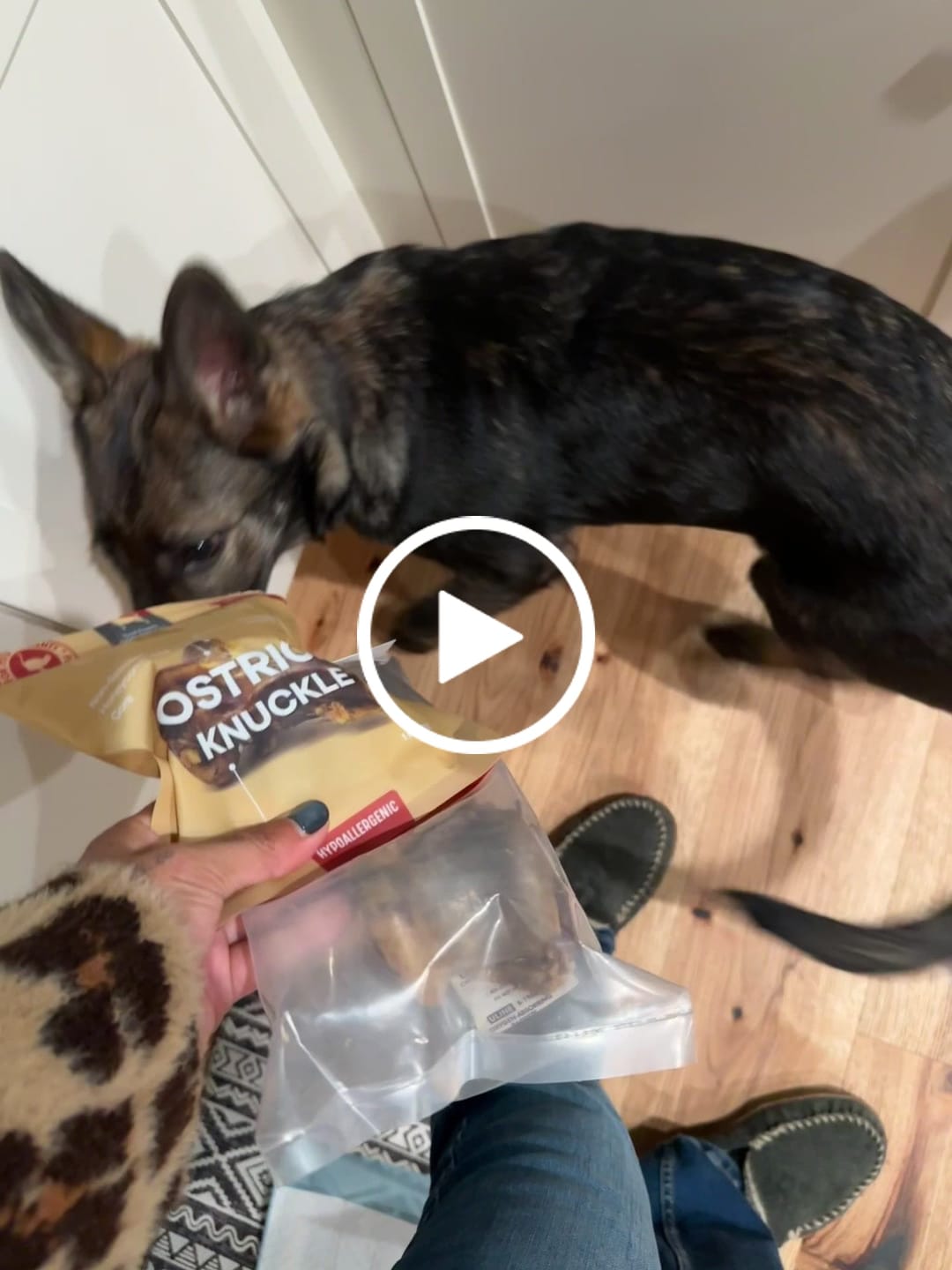 Customer video review of Ostrich Knuckle (Medium – 4" x 3"): The Perfect Chew for Small to Medium Dogs & Sensitive Stomachs