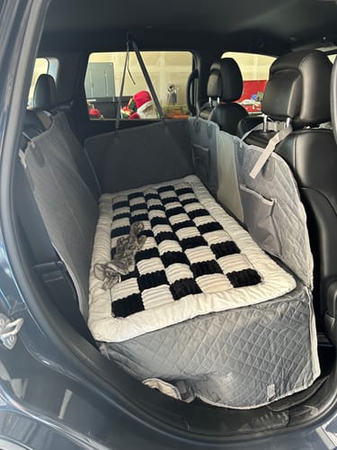 Customer photo review of NEW Waterproof Hard Bottom Car & Truck Seat Foldable Hammock Cover With Storage Pockets, Side Flaps, Headrest Straps, Seat Anchors, & Mesh Window (+FREE SAFETY BELT!)