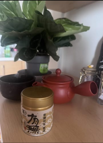 Customer photo review of Red Japanese Clay Teapot