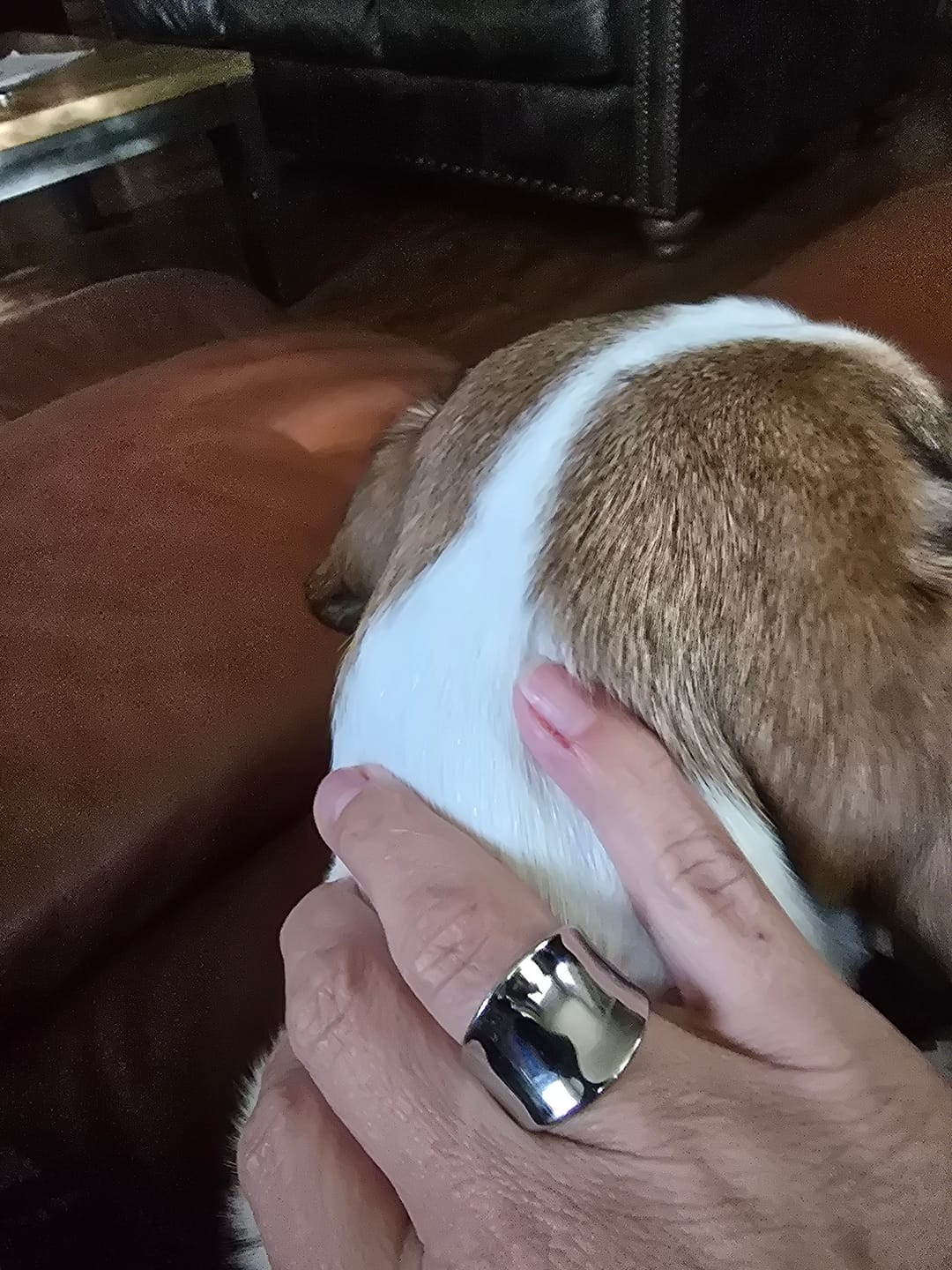 Customer photo review of Mirror Ring (Bundle)