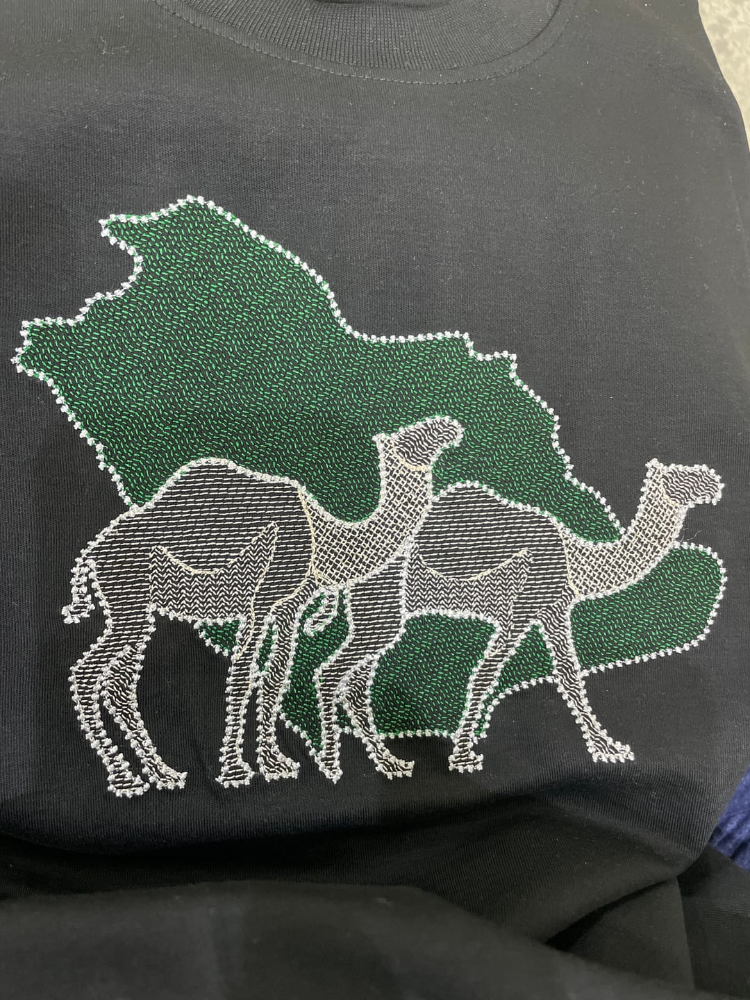 Customer photo review of T-Shirt Short Sleeve Kids