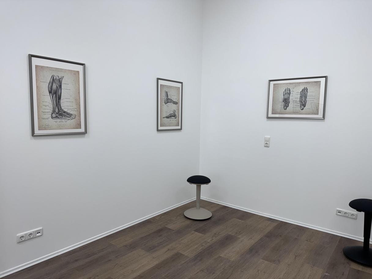 Customer photo review of Schulter Anatomie Sammlung