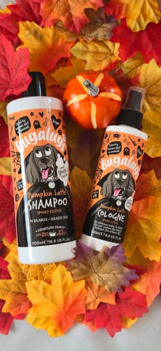 Customer photo review of Spooky Edition: Pumpkin Latte Bundle (Shampoo + Cologne)