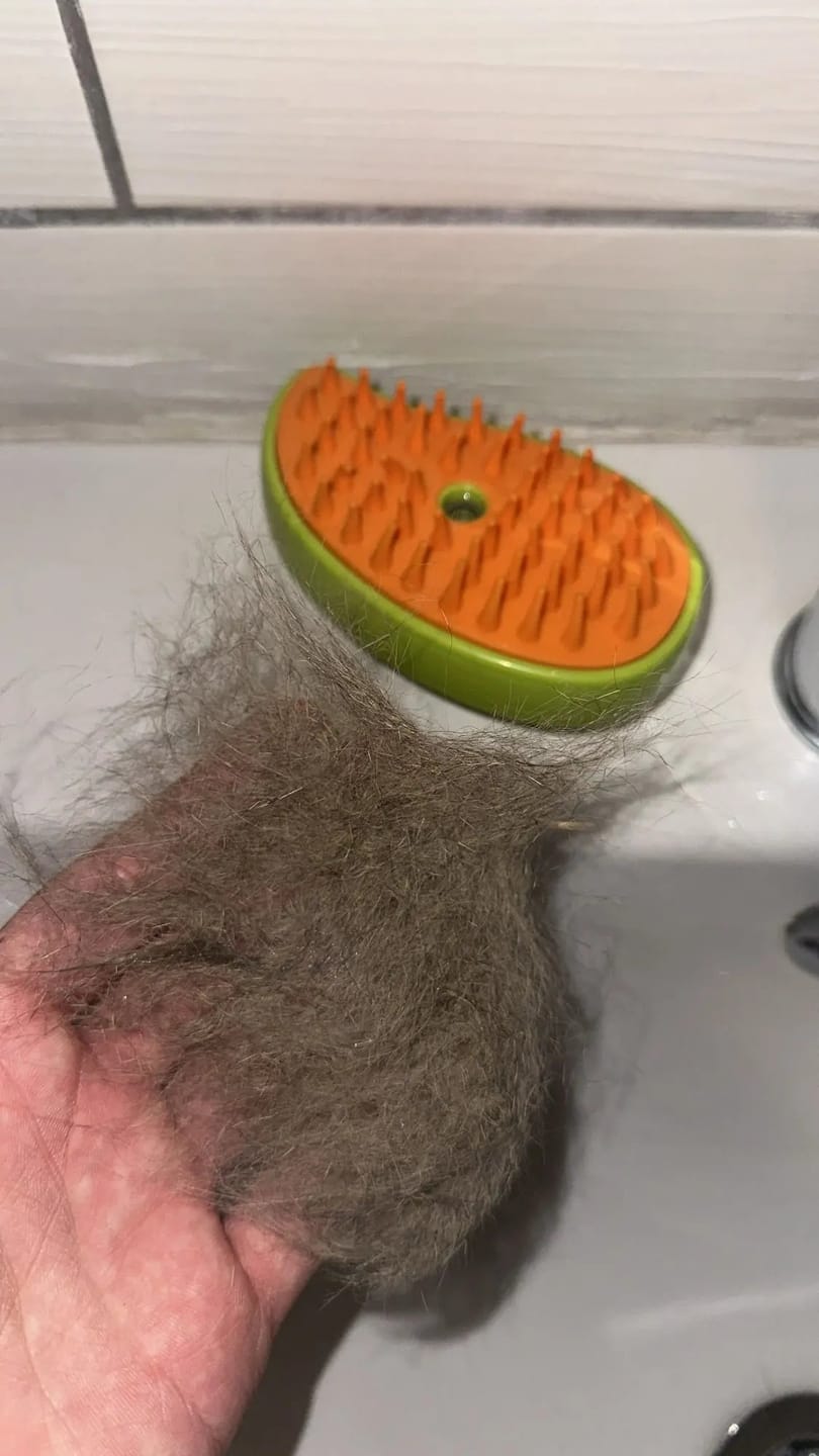 Customer photo review of SteamBrush - Heeft jouw hond last van haaruitval?