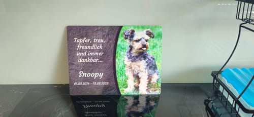 Customer photo review of Hunde Gedenktafel mit Foto & Spruch (UV- & Wetterfest)