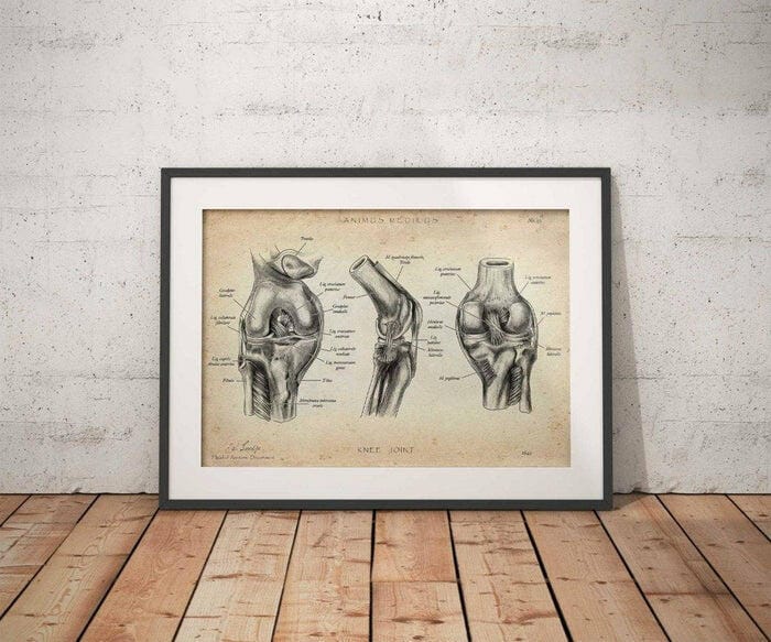 Customer photo review of Kniegelenk Anatomie