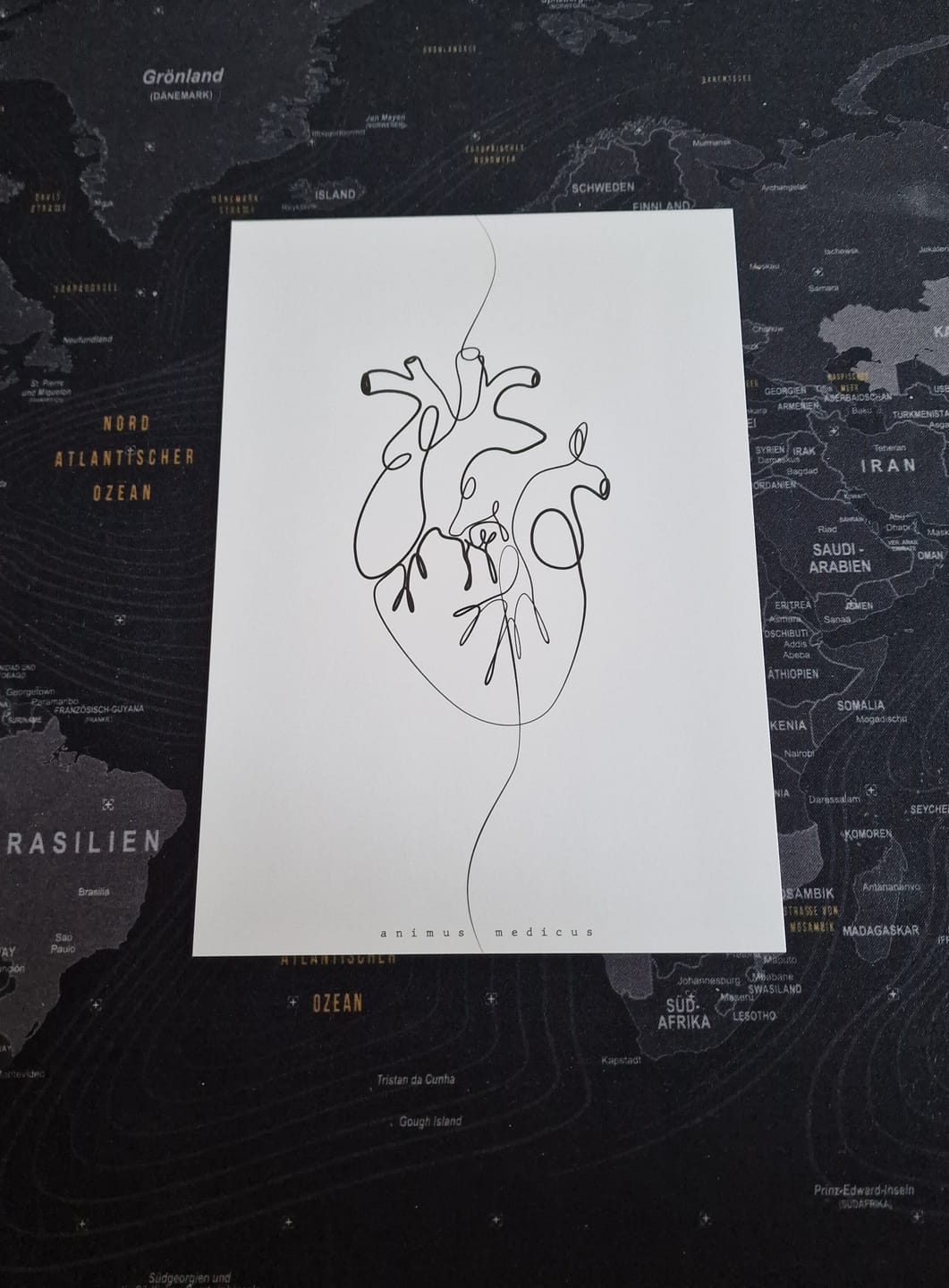 Customer photo review of Herz Anatomie Minimalist