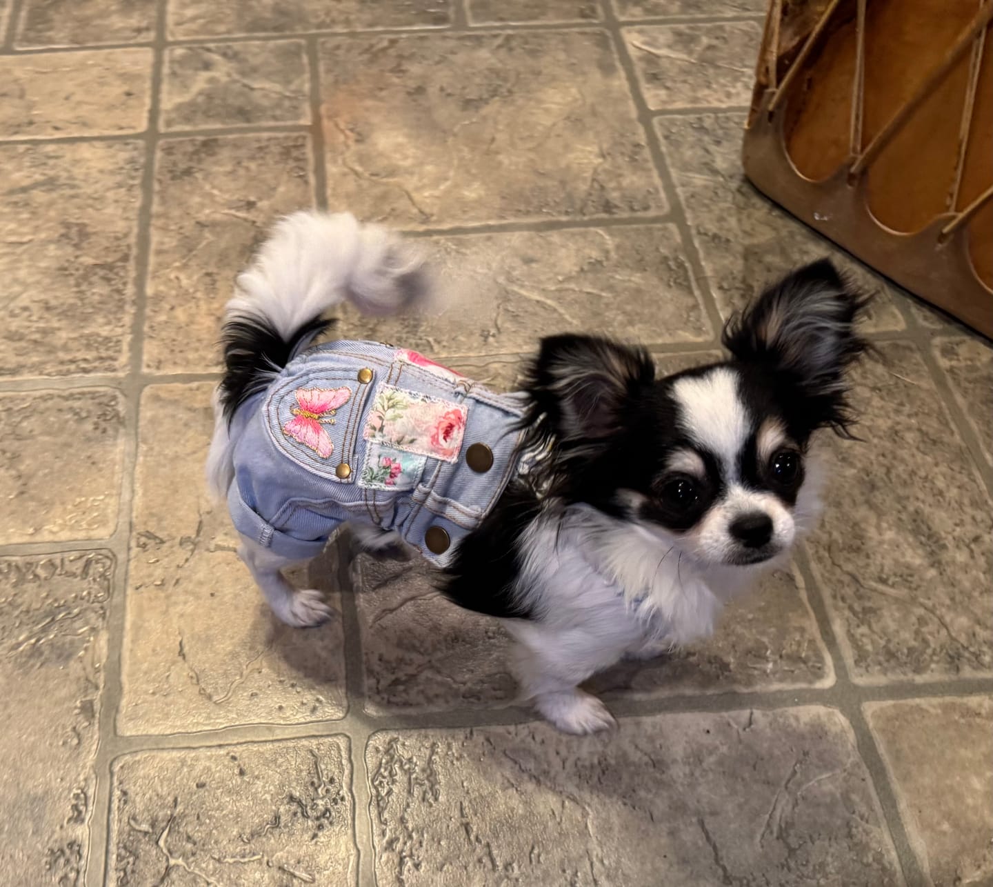 Customer photo review of Floral Patchwork Overalls