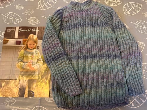 Customer photo review of In the Garden Child-Girl Jumper