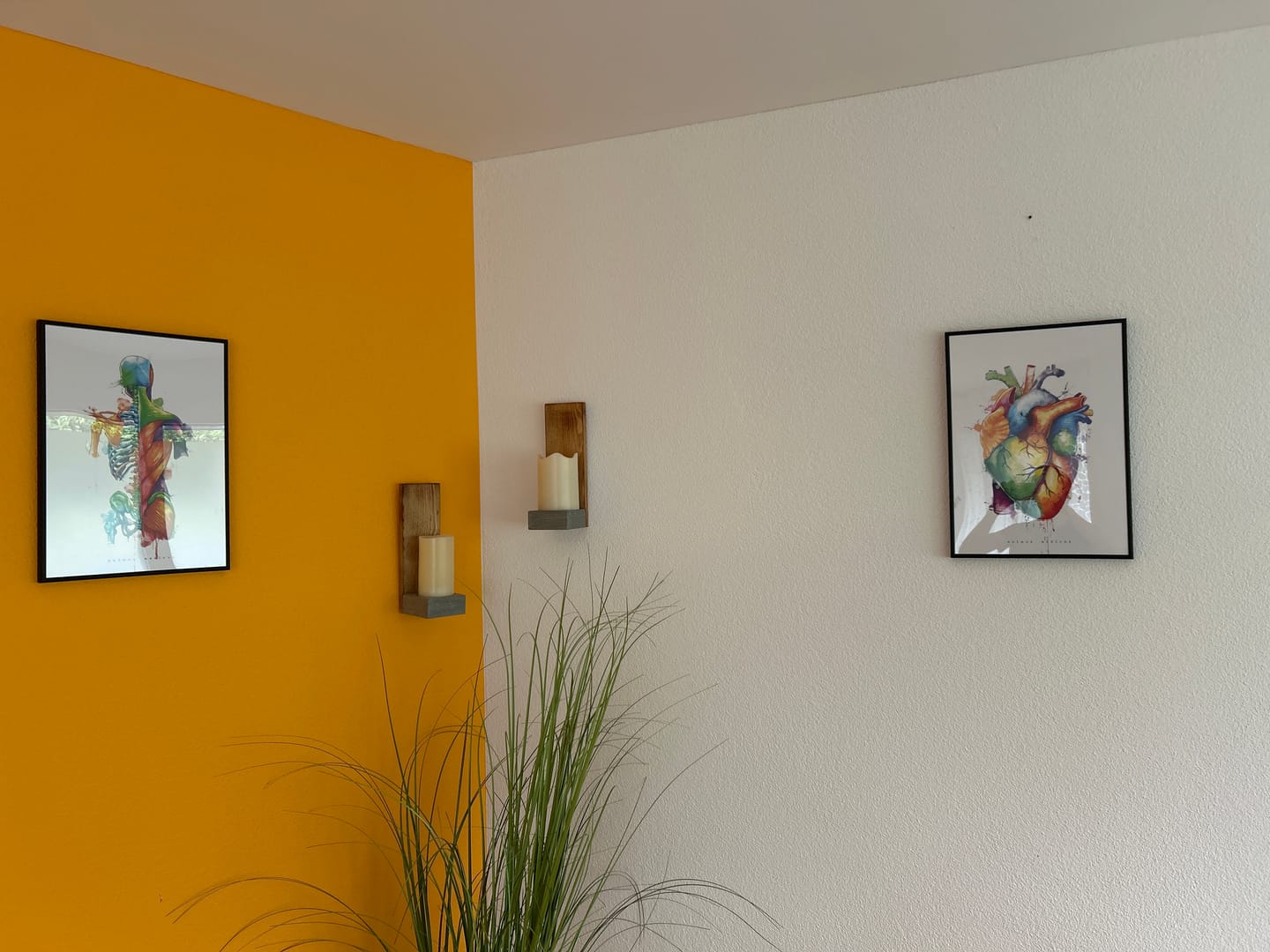 Customer photo review of Rücken Anatomie - Rainbow