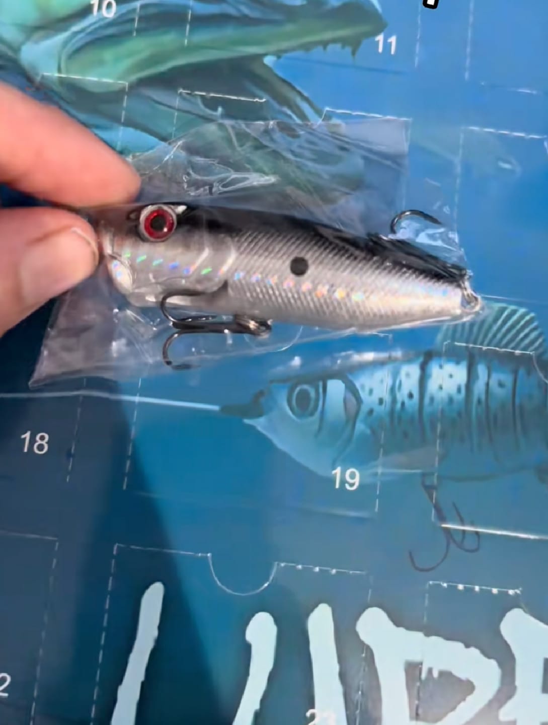 Customer photo review of Colitt - Fishing Tackle Countdown