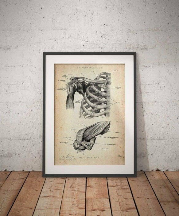 Customer photo review of Schultergelenk Anatomie