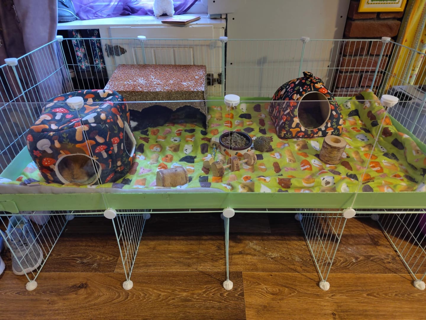 Customer photo review of 4x2 C&C Cage with Stand