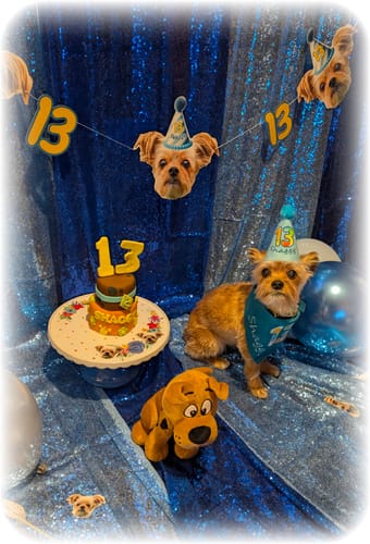 Customer photo review of Personalized Dog Party Pack