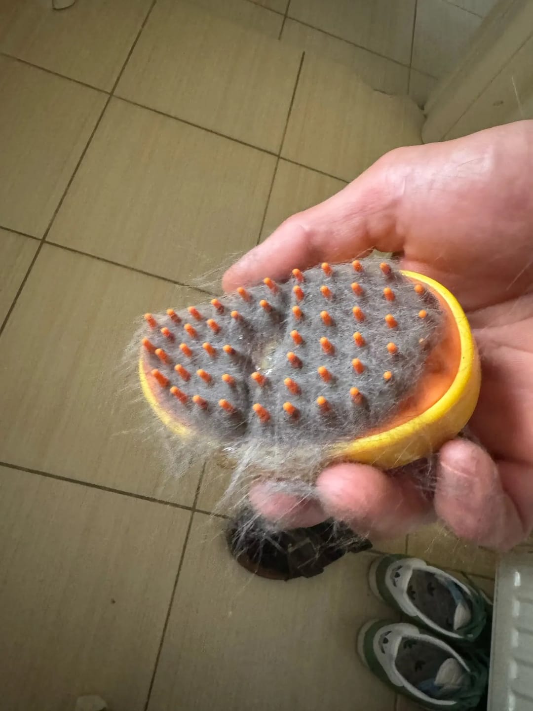 Customer photo review of SteamBrush - Heeft jouw hond last van haaruitval?