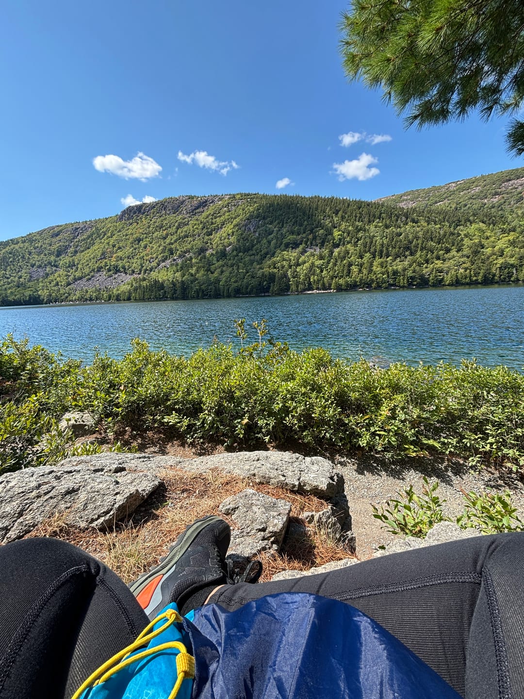 Customer photo review of Aurora - Wide Toe Sneakers
