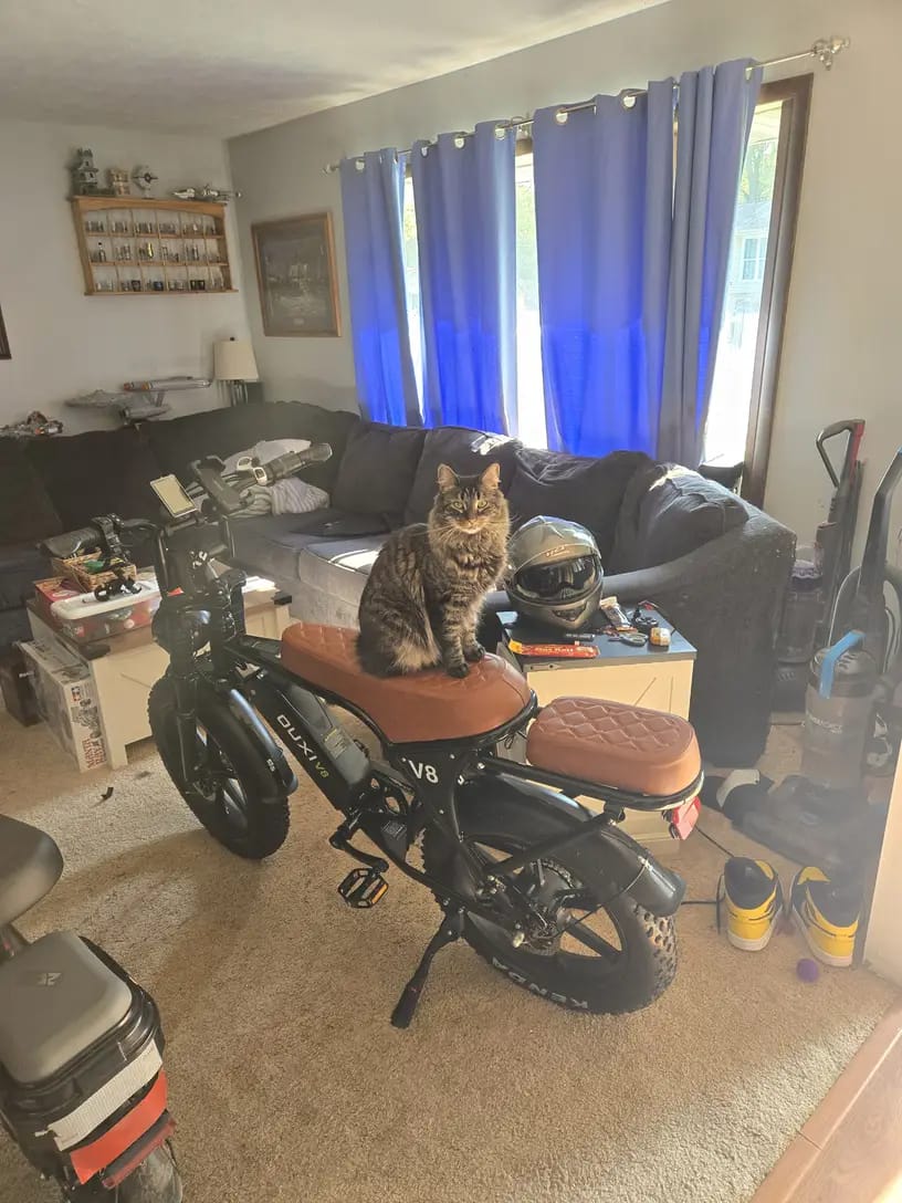 Customer photo review of OUXI V8 750W Fat Tire Electric Bike