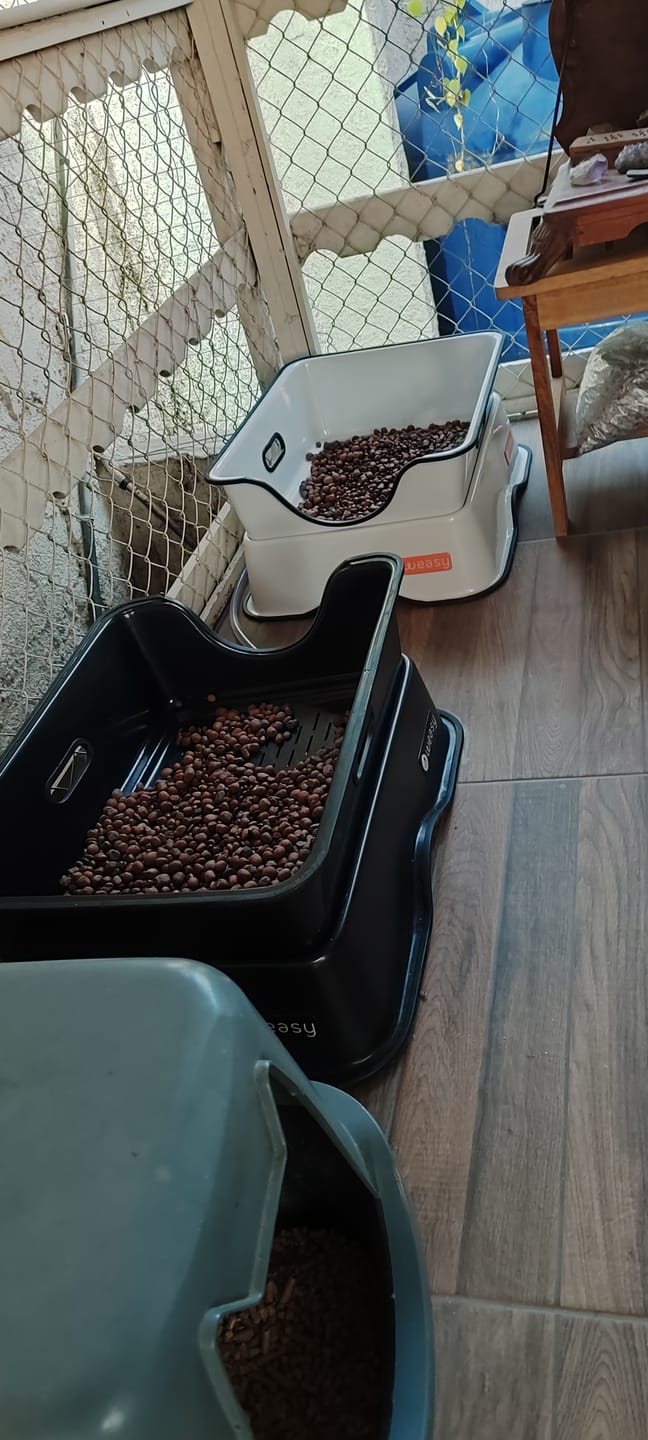 Customer photo review of Weasy Gato