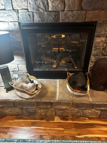 Customer photo review of Instinct Basket | Handwoven & Chemical-Free Cat Territory (+FREE Natural Cotton Pillow)