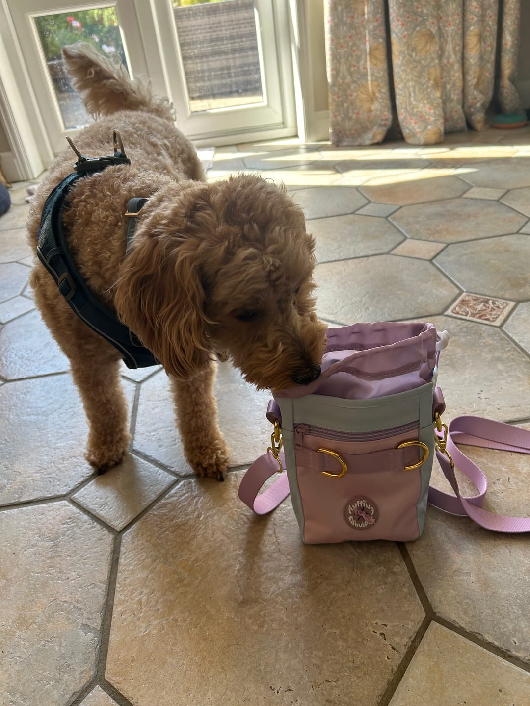 Customer photo review of Treat Pouch