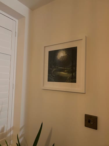 Customer photo review of Race To The Moon Small By Catherine Stephenson