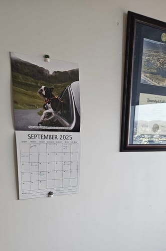 Customer photo review of 2025 Wall Calendar