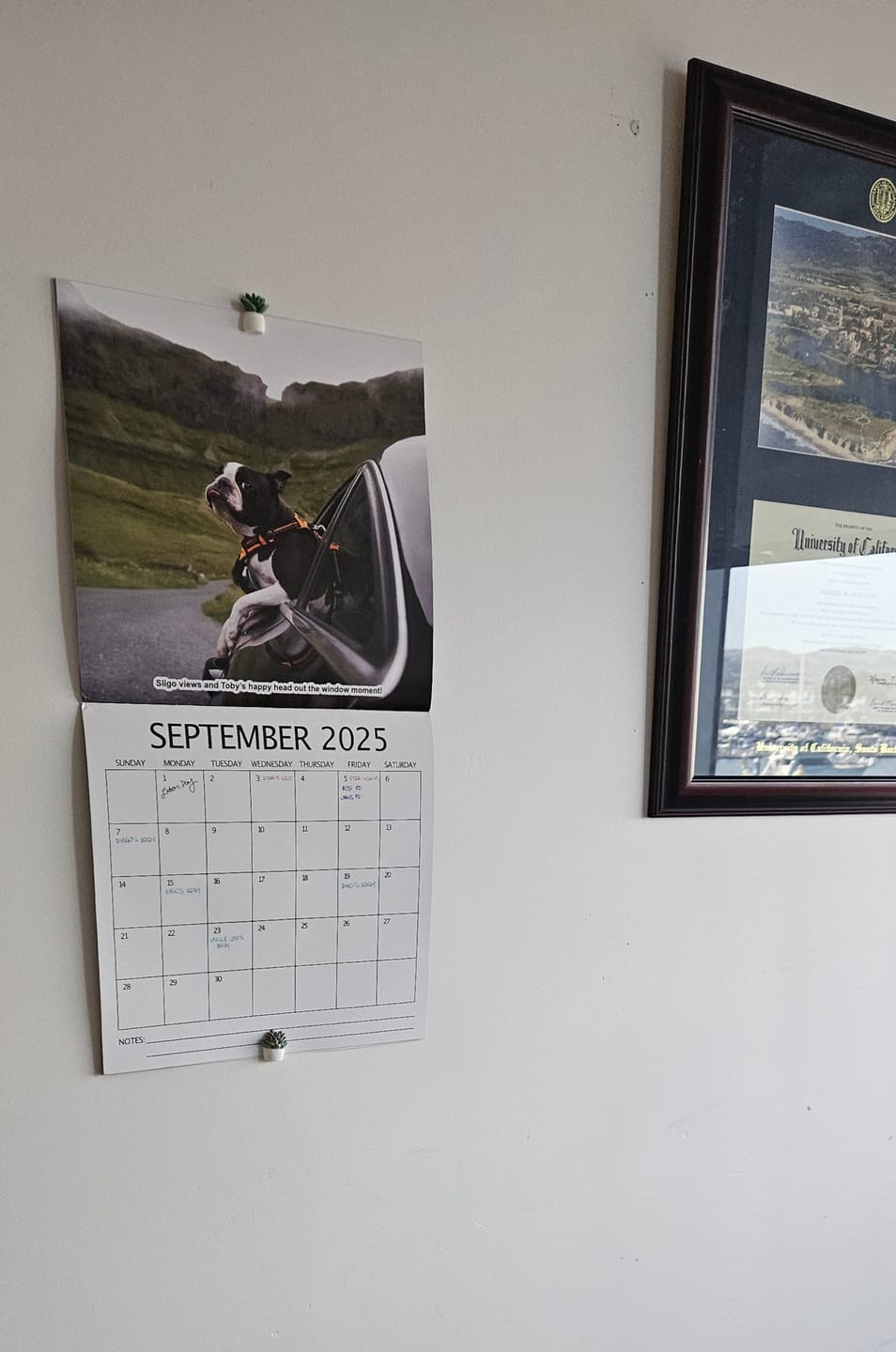 Customer photo review of 2025 Wall Calendar