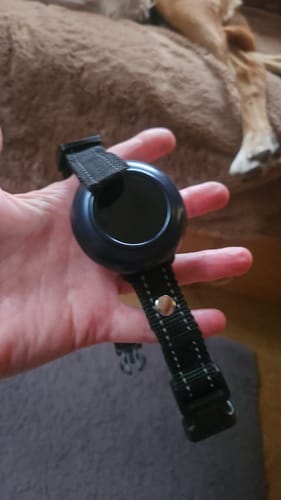 Customer photo review of Houndware 2-in-1 Pro Anti-Bark & Remote Training Collar
