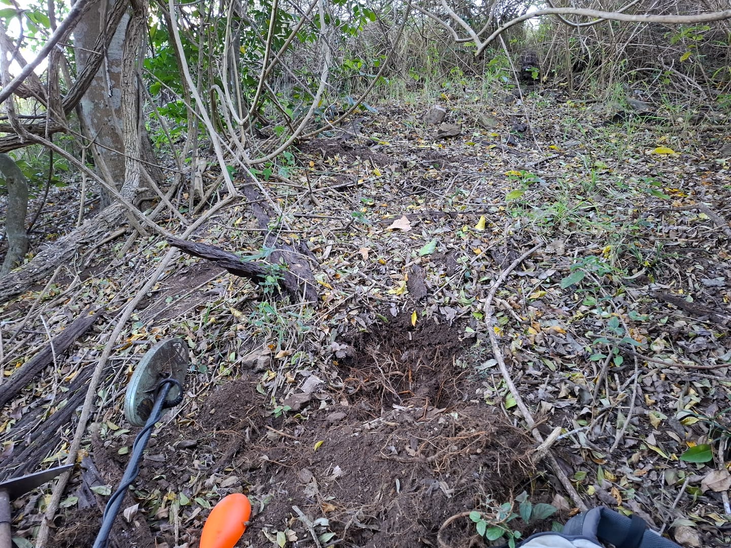 Customer photo review of Prospecting Scoop - Heavy Duty For metal detecting and Sluicing