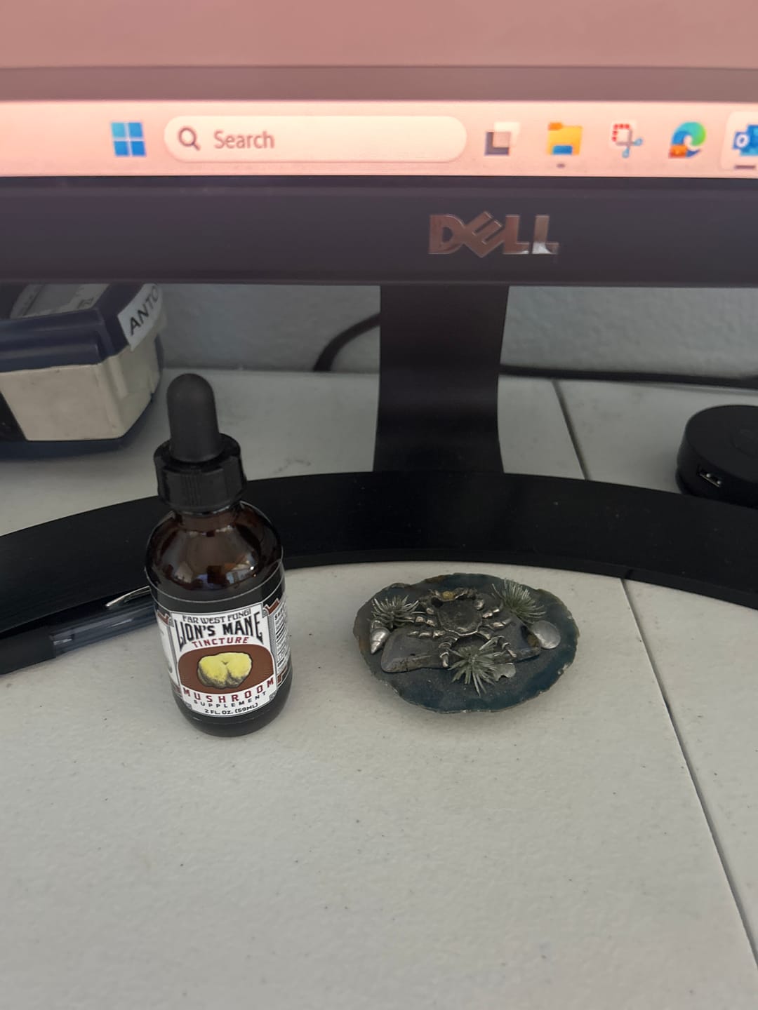 Customer photo review of Lion's Mane Tincture