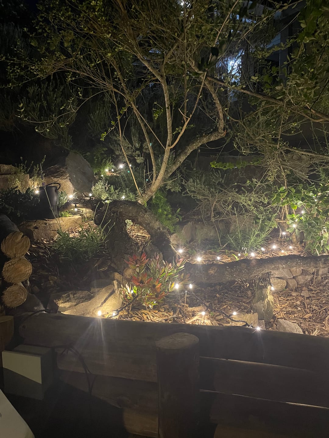 Customer photo review of Outdoor Heavy Duty Fairy Lights 10m Warm White - Black String