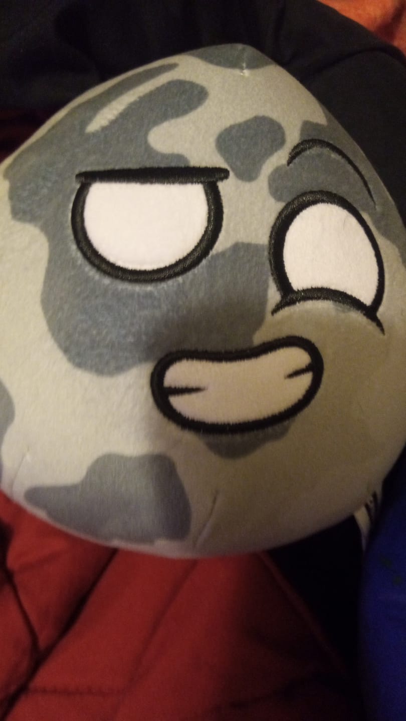 Customer photo review of The SolarBalls Moon Plush