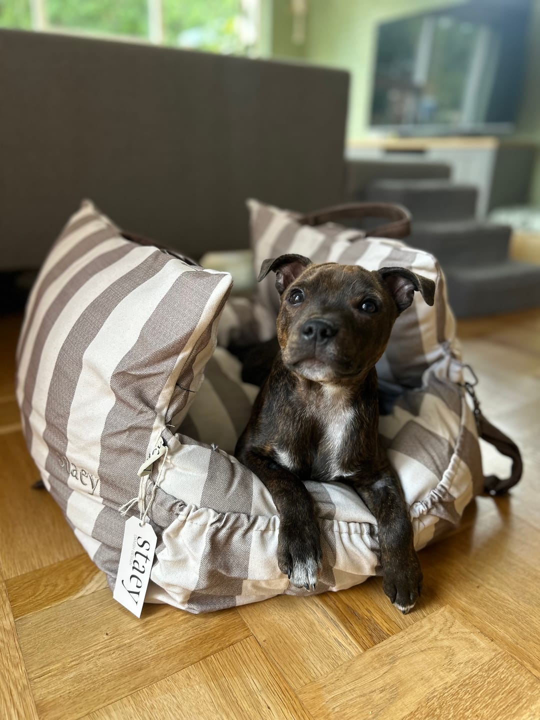 Customer photo review of Staey - Lara 3-i-1 Bilsæde, Stribet