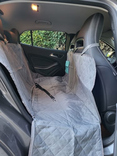 Customer photo review of Emmalove - Auto Hundeschutz