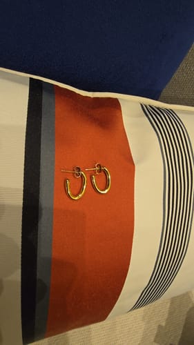Customer photo review of ANCE