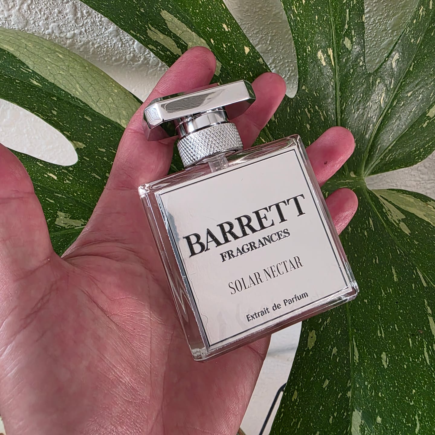 Customer photo review of Solar Nectar inspired by Erba Pura