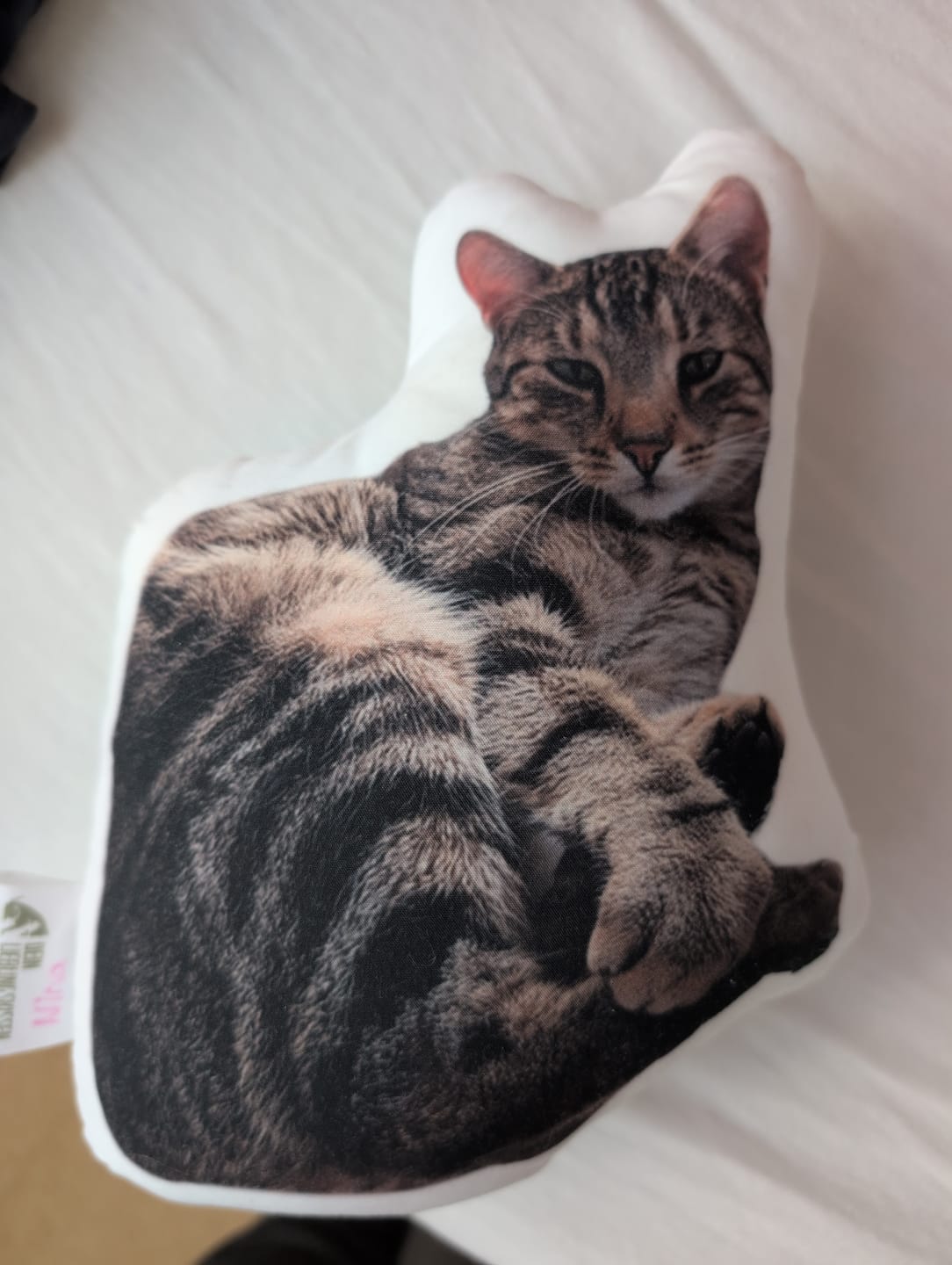 Customer photo review of Personalisiertes Katzenkissen