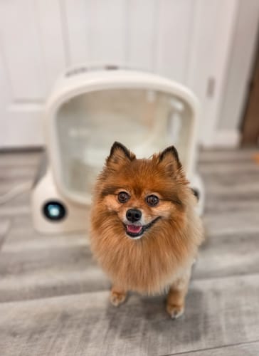 Customer photo review of Pet Dryer Box