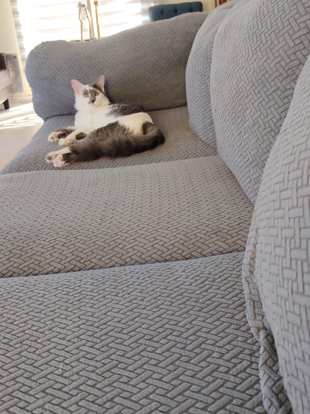 Customer photo review of Funda mágica cubre sofa
