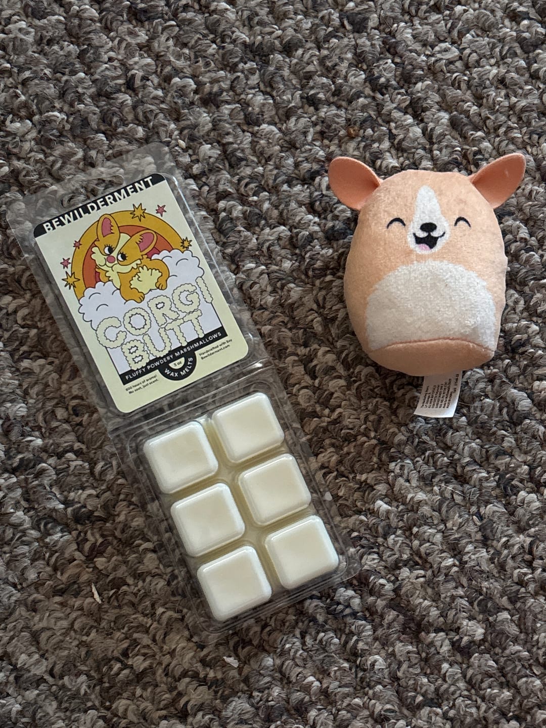 Customer photo review of Corgi Butt Wax Melts