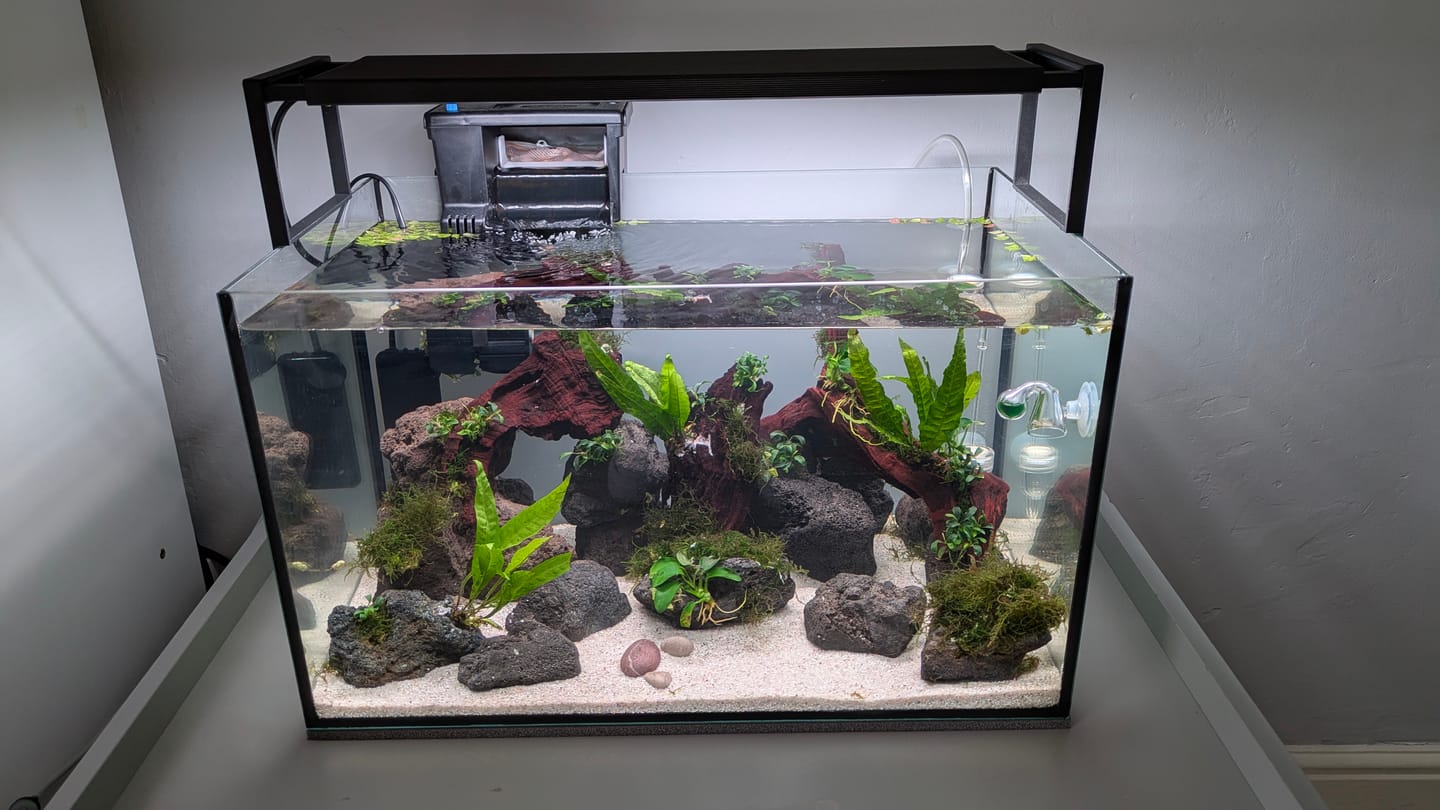 Customer photo review of Chihiros WRGB II Slim LED Light